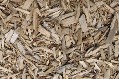 biomass boilers Monifieth